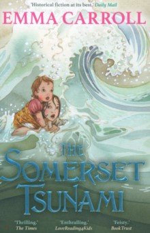 Carroll Emma: The Somerset Tsunami