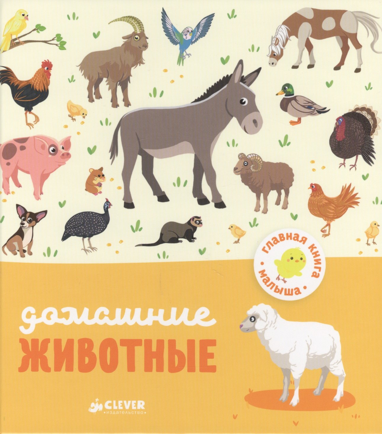 Бессон Аньес: Главная книга малыша. Домашние животные