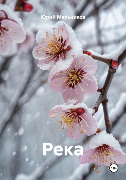 Мельников Юрий: Река