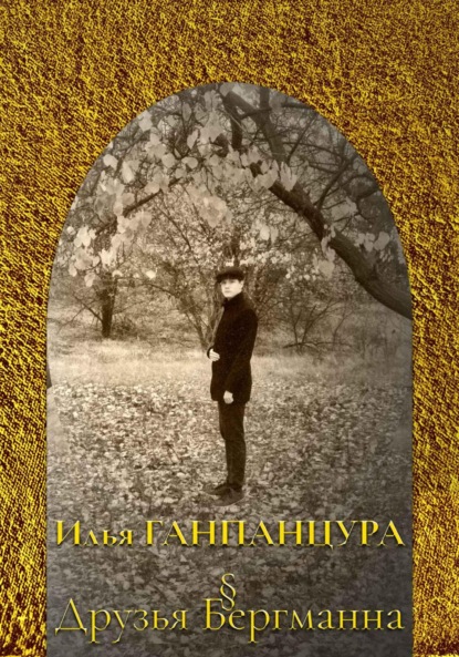 Владимирович Илья Ганпанцура: Друзья Бергманна