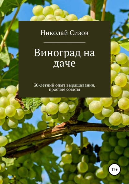 Витальевич Николай Сизов: Как вырастить виноград на даче в Средней полосе России