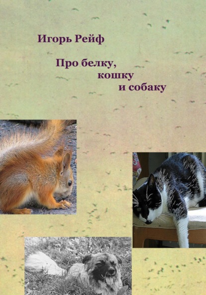 Рейф Игорь: Про белку, кошку и собаку