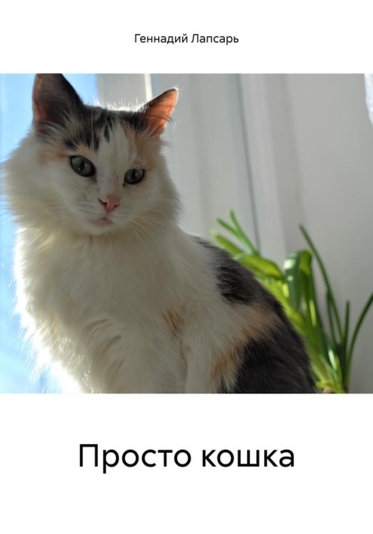 Лапсарь Геннадий: Просто кошка