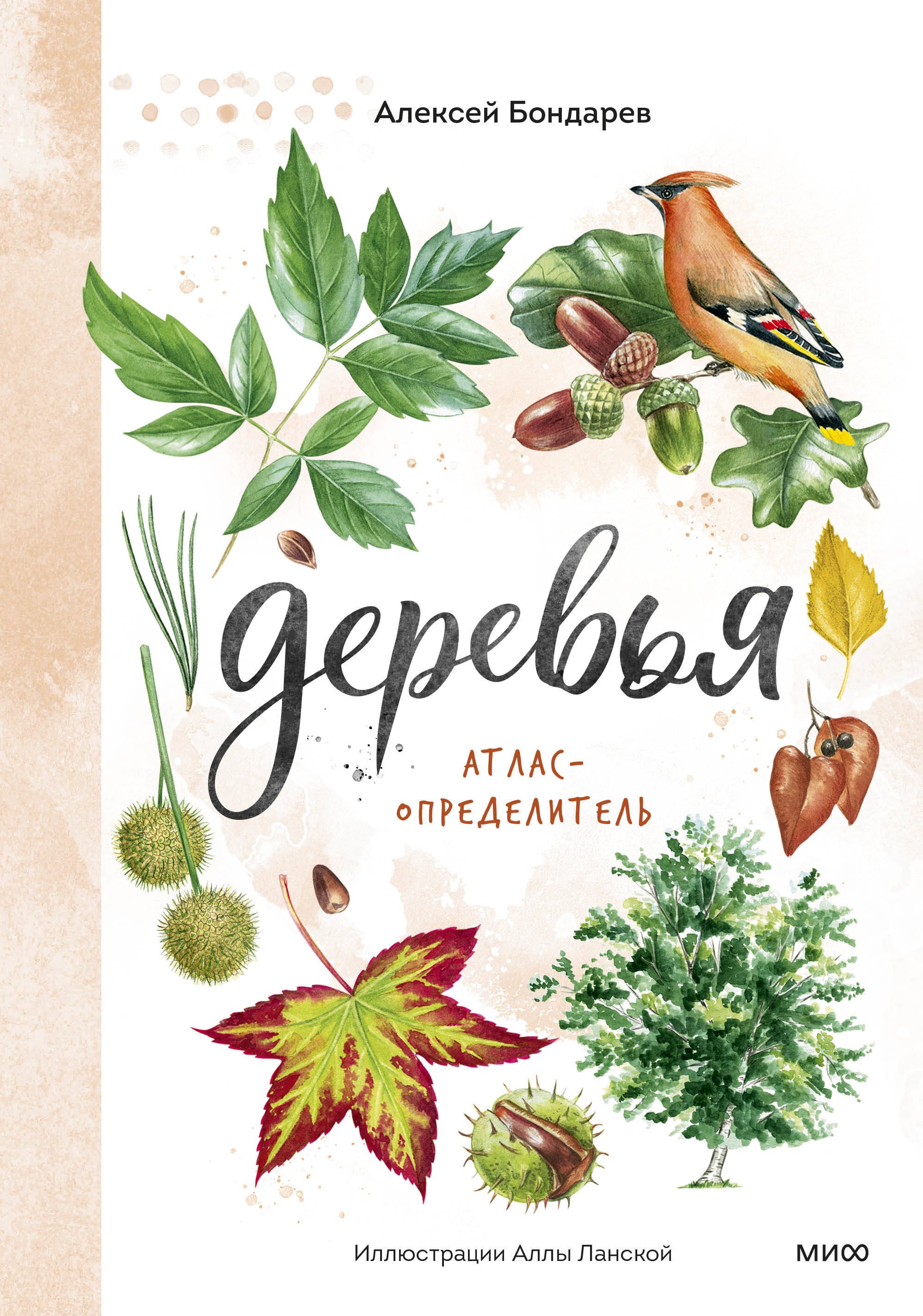 Бондарев Алексей: Деревья. Атлас-определитель