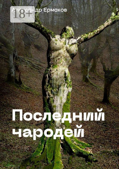 Ермаков Александр: Последний чародей