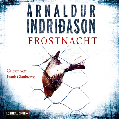 Indridason Arnaldur: Frostnacht