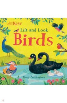 Cottingham Tracy: Kew. Lift and Look Birds