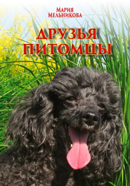 Мельникова Мария: Друзья-питомцы