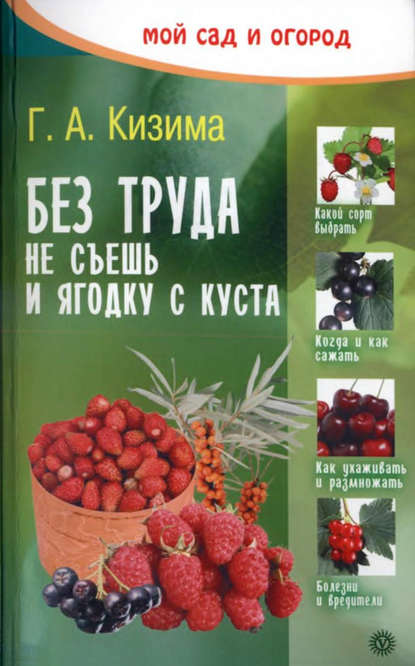Кизима Галина Александровна: Без труда не съешь и ягодку с куста