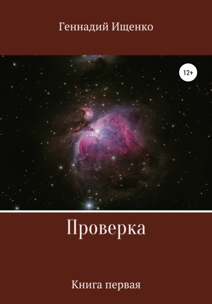 Владимирович Геннадий Ищенко: Проверка. Книга первая