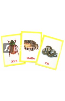 Логопедические карточки "Логопедка Ж"