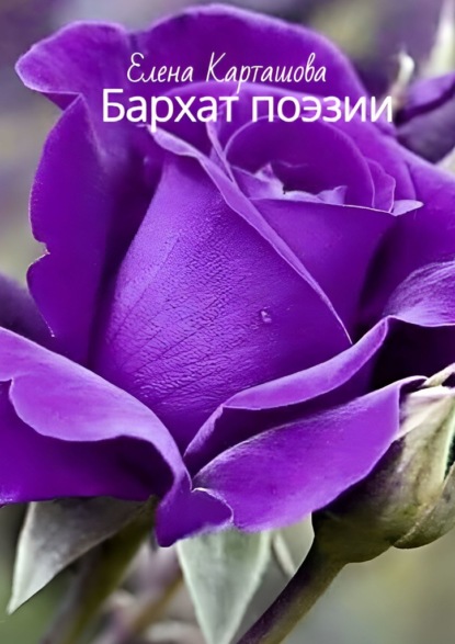 Карташова Елена: Бархат поэзии