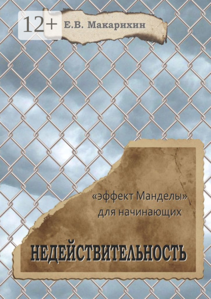 Макарихин Евгений: Недействительность. «Эффект Манделы» для начинающих