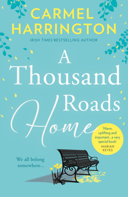 Harrington Carmel: A Thousand Roads Home: ‘A weepy but important book’ Cecelia Ahern