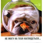 Дэвид Байрд: Не могу на тебя наглядеться