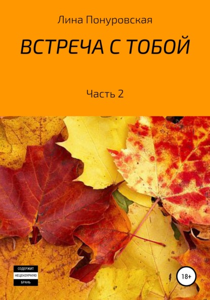 Александровна Лина Понуровская: Встреча с тобой. Часть 2
