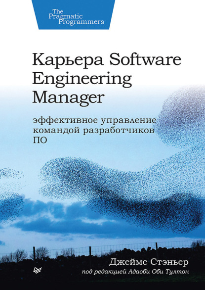 Стэньер Джеймс: Карьера Software Engineering Manager