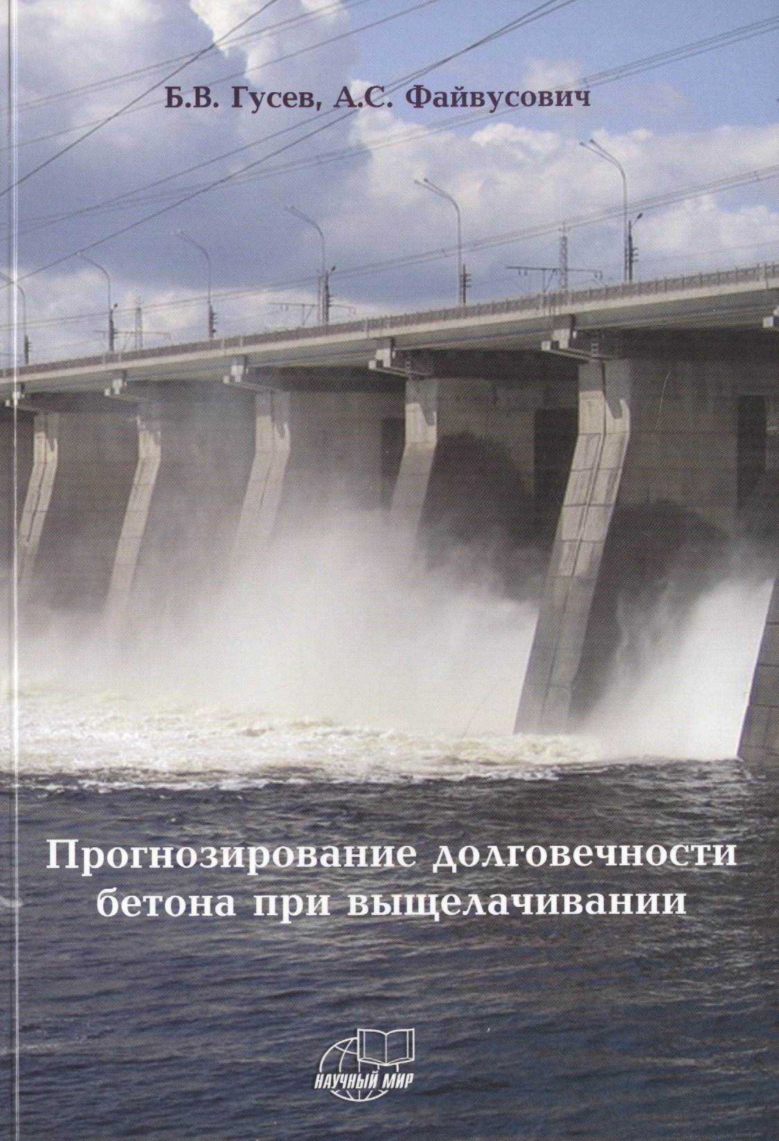 Владимирович Гусев Борис: Прогнозирование долговечности бетона при выщелачивании