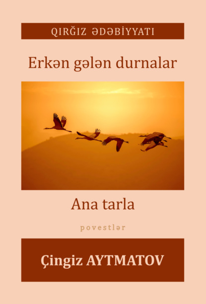 Айтматов Чингиз: Erkən gələn durnalar, Ana tarla