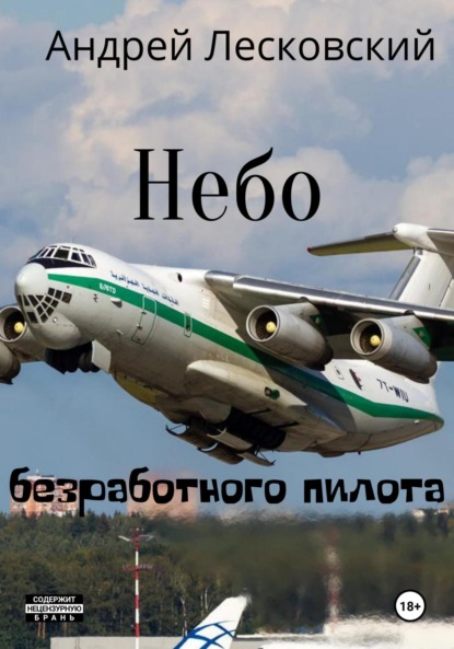 Владимирович Андрей Лесковский: Небо безработного пилота