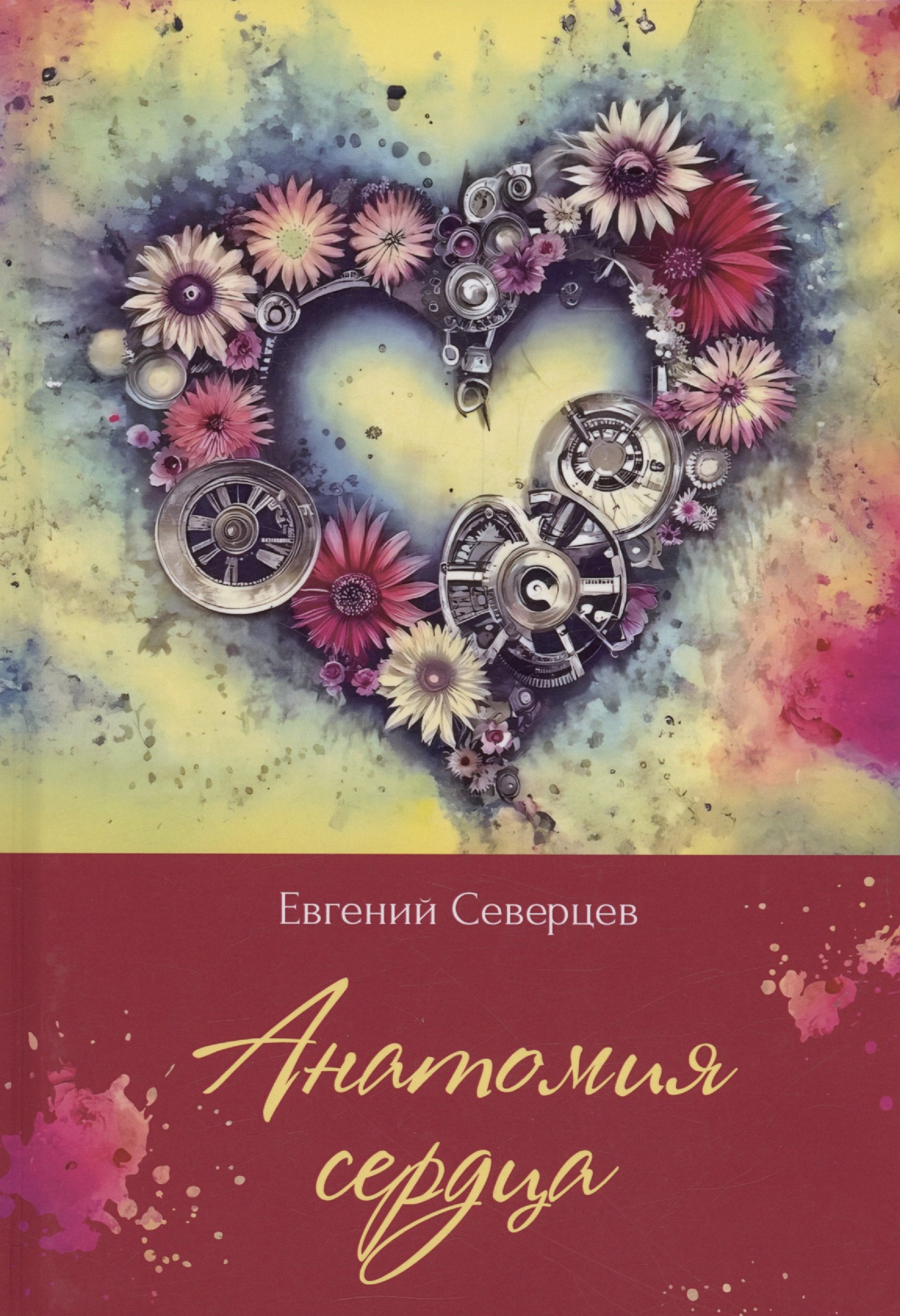 Северцев Евгений: Анатомия сердца