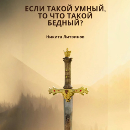 Литвинов Никита: Если такой умный, то что такой бедный?