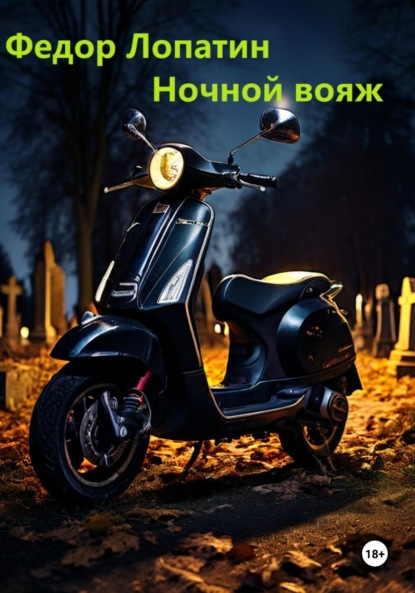 Лопатин Федор: Ночной вояж