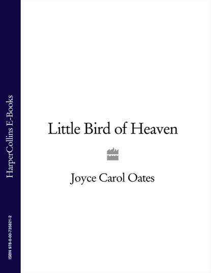 Oates Joyce Carol: Little Bird of Heaven