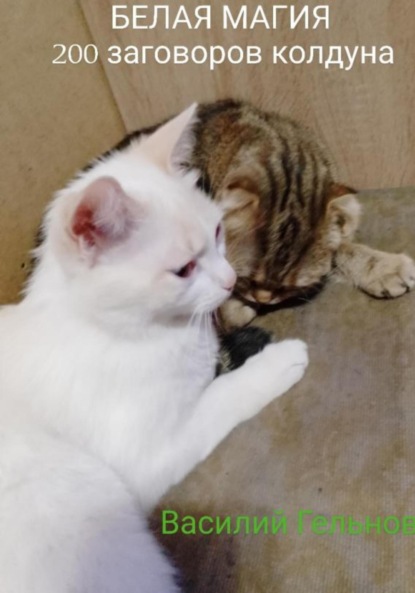 Валерьевич Василий Гельнов: Белая магия. 200 заговоров колдуна