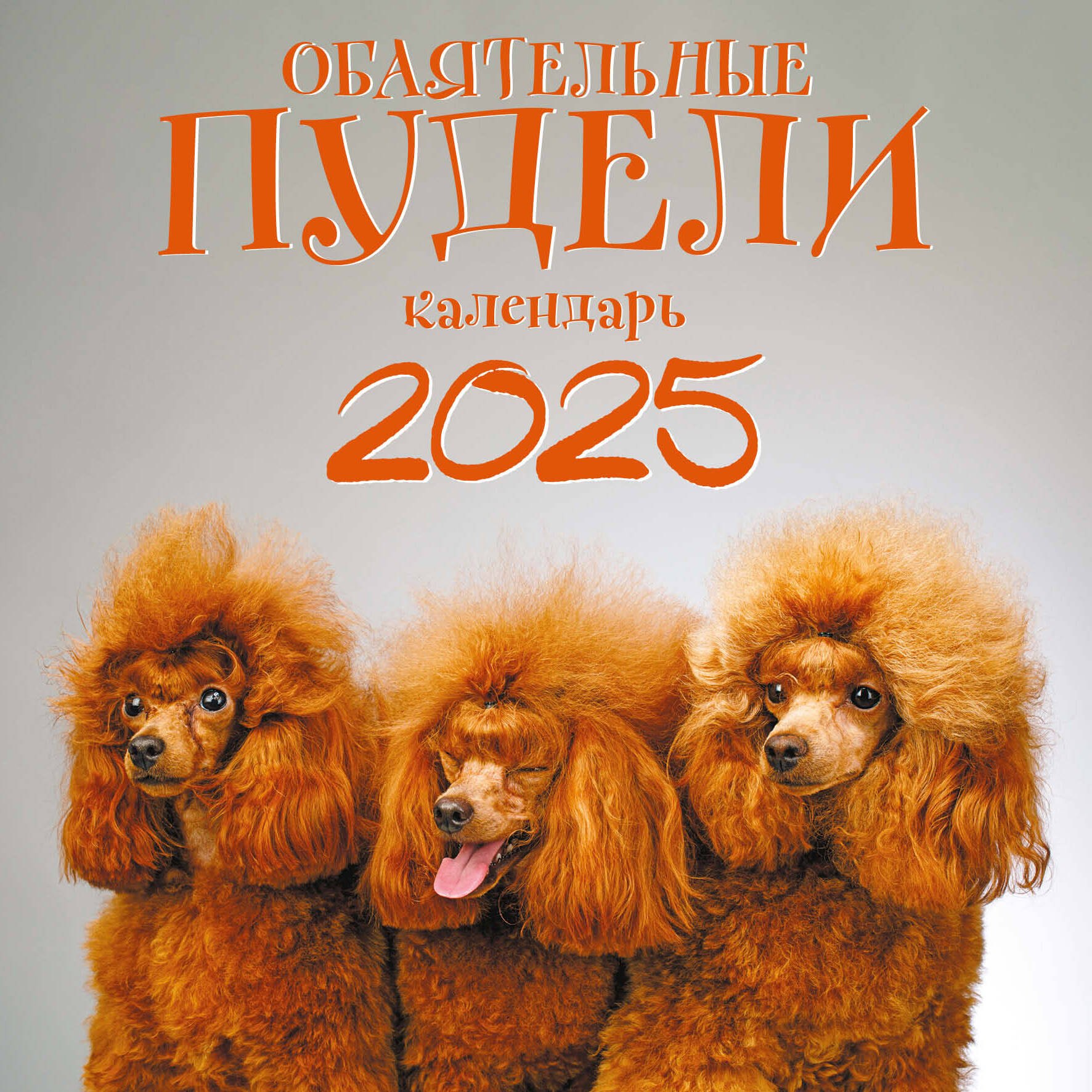 Календарь 2025г 300*300 "Пудели" настенный, на скрепке