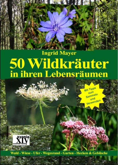 Mayer Ingrid A.: 50 Wildkräuter in ihren Lebensräumen