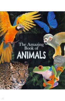 Leach Michael: The Amazing Book of Animals