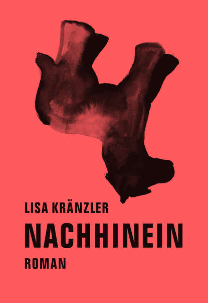 Nachhinein - Roman