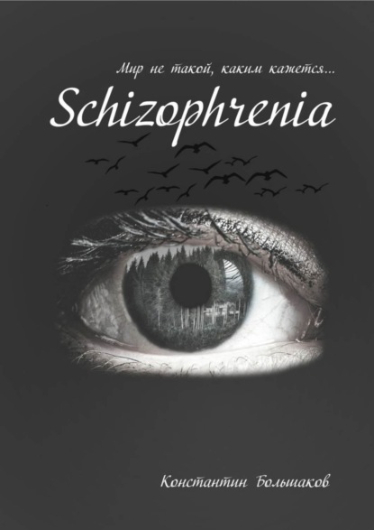 Большаков Константин Аристархович: Schizophrenia. Мир не такой, каким кажется