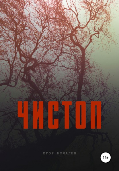 Мочалин Егор: Чистоп