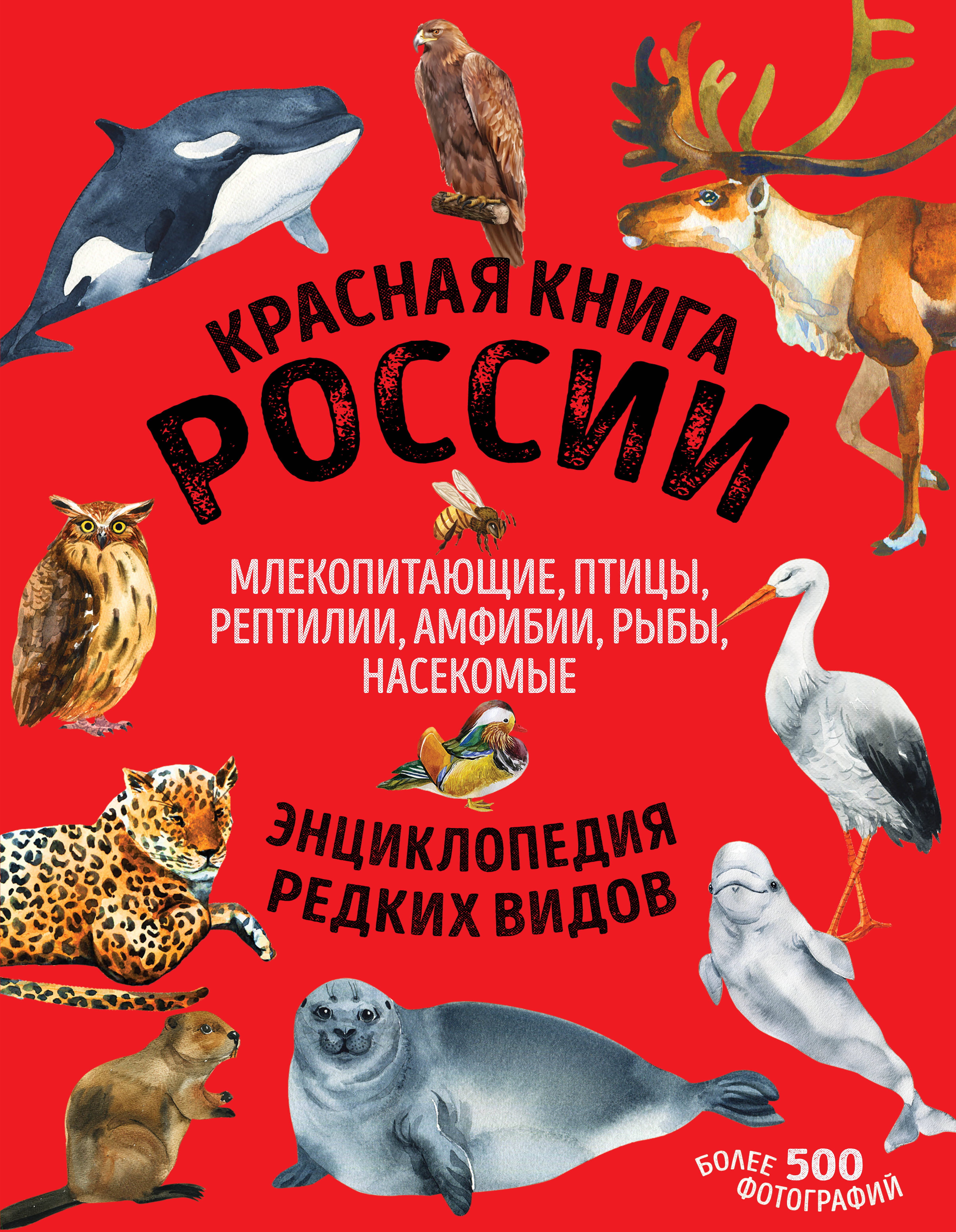 Лукашанец Дмитрий Александрович: Красная книга России: животные, растения, птицы, насекомые. Энциклопедия редких видов
