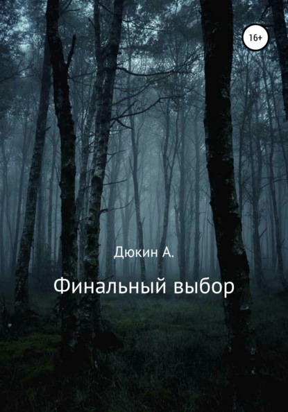 Ильдусович Айдар Дюкин: Финальный выбор