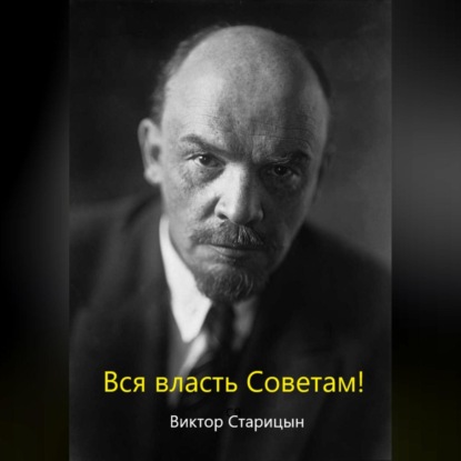 Старицын Виктор: За власть Советов!