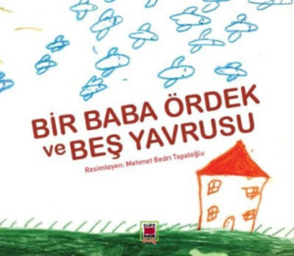 Gökmen Semnal: Bir Baba Ördek ve Beş Yavrusu