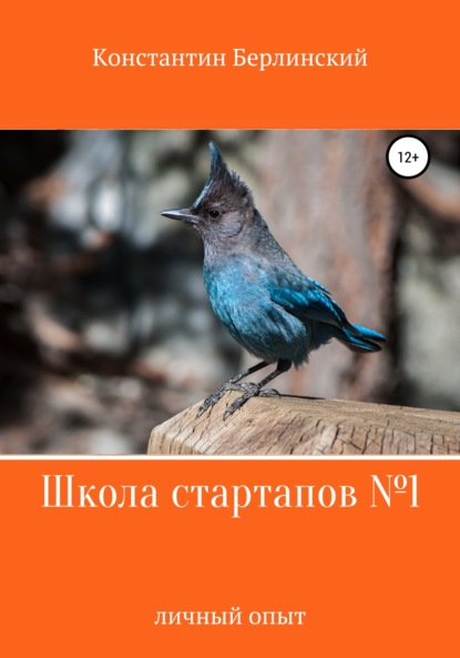Константинович Константин Берлинский: Школа стартапов №1: Личный опыт