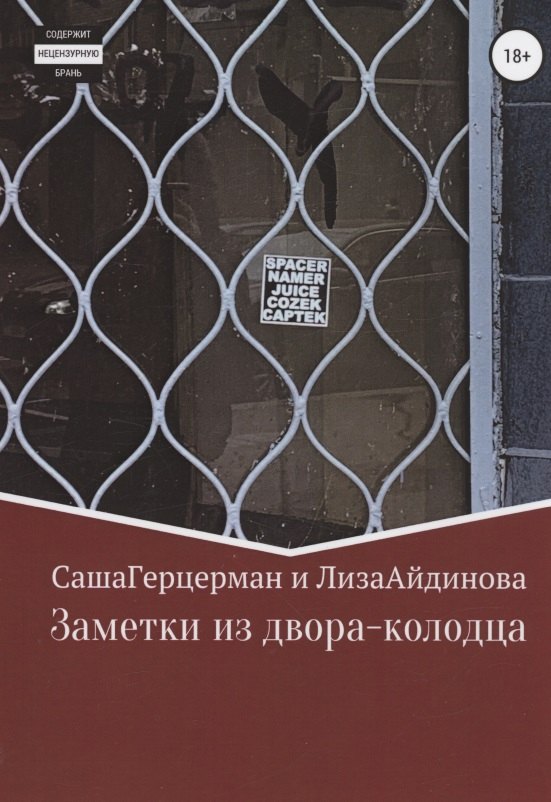 Айдинова Лиза: Заметки из двора-колодца