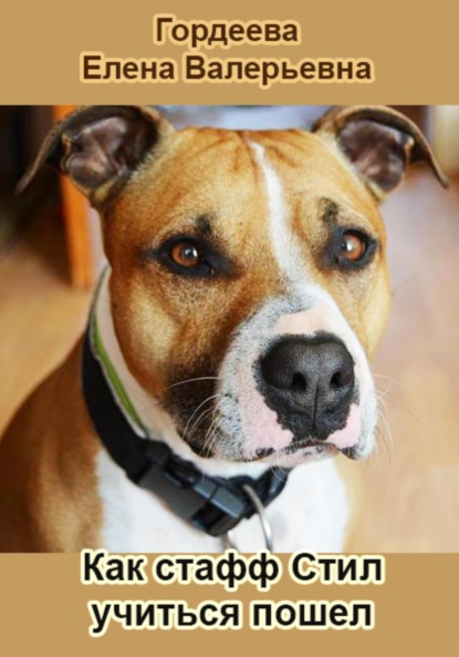 Валерьевна Елена Гордеева: Как стафф Стил учиться пошел