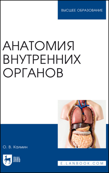В. О. Калмин: Анатомия внутренних органов. Учебное пособие для вузов