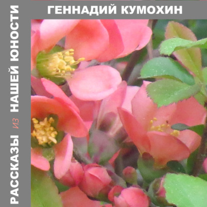 Вениаминович Геннадий Кумохин: Рассказы из нашей юности