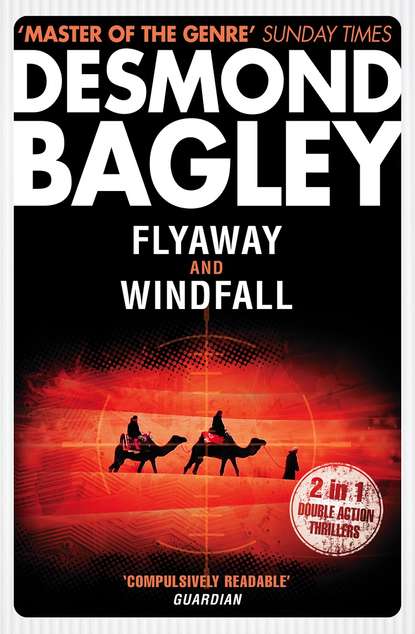 Bagley Desmond: Flyaway / Windfall