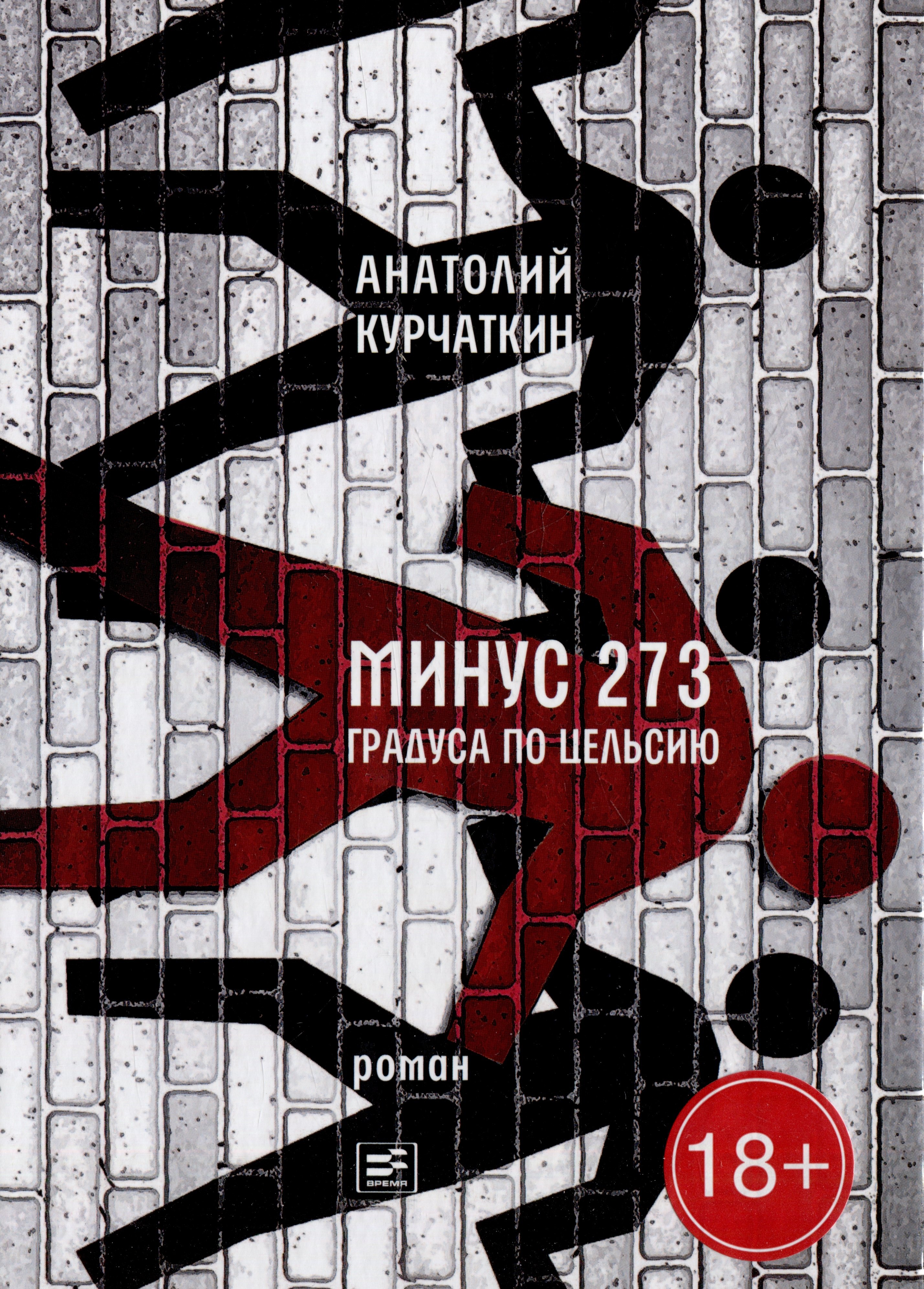 Николаевич Курчаткин Анатолий: Минус 273 градуса по Цельсию