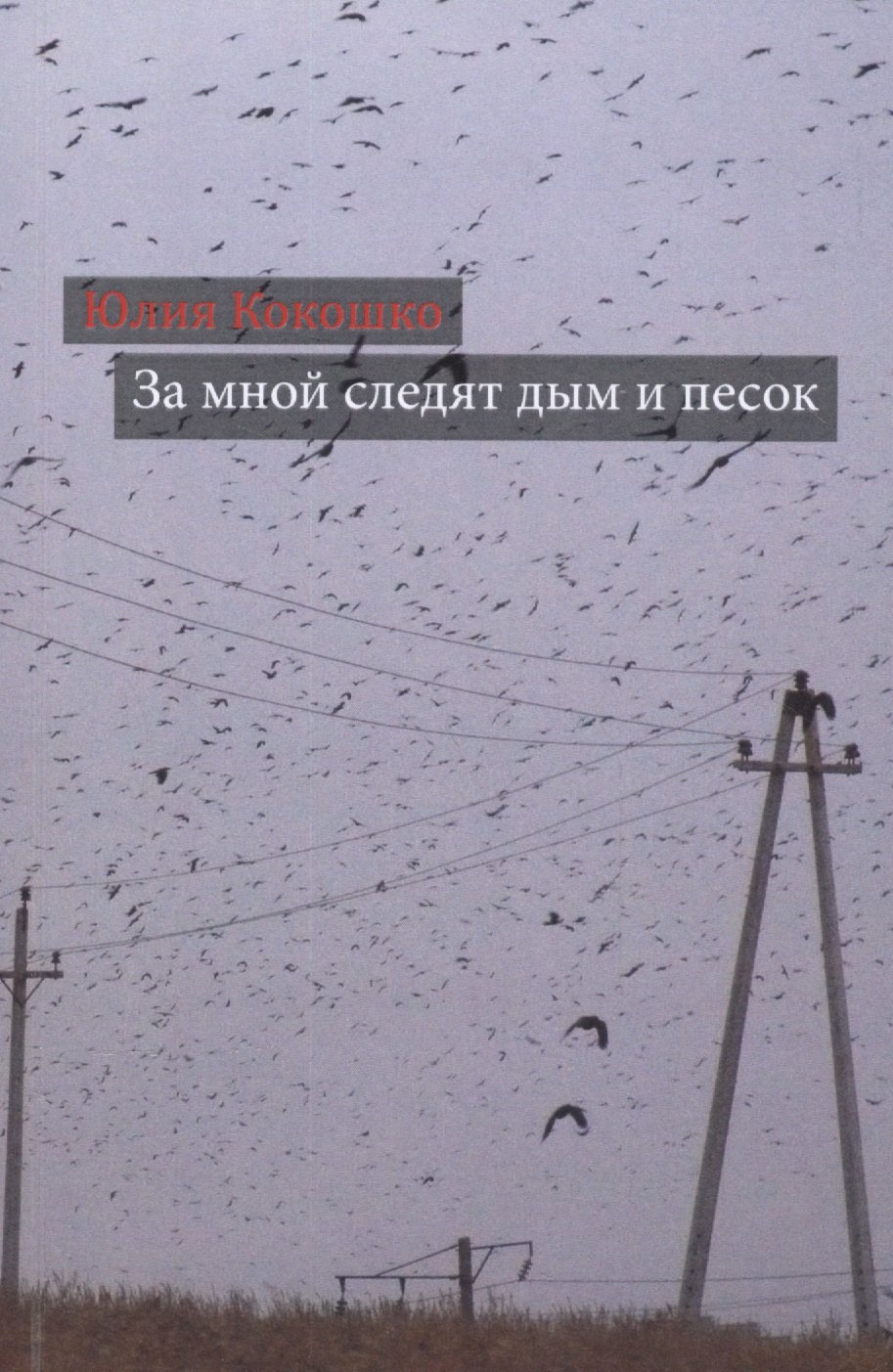 Михайловна Кокошко Юлия: За мной следят дым и песок: повести