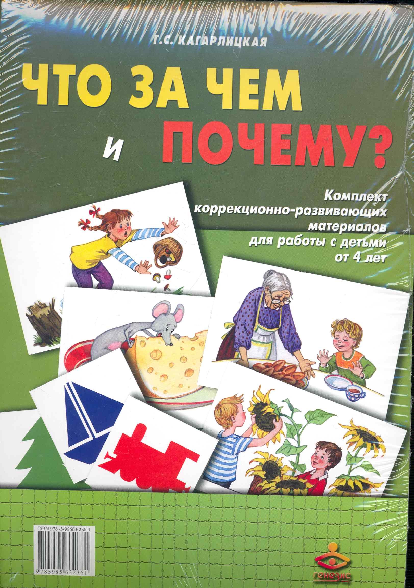 Что за чем и почему?  Комплект коррекционно-развивающих материалов для работы с детьми от 4 лет. Методическое пособие +Рабочие материалы