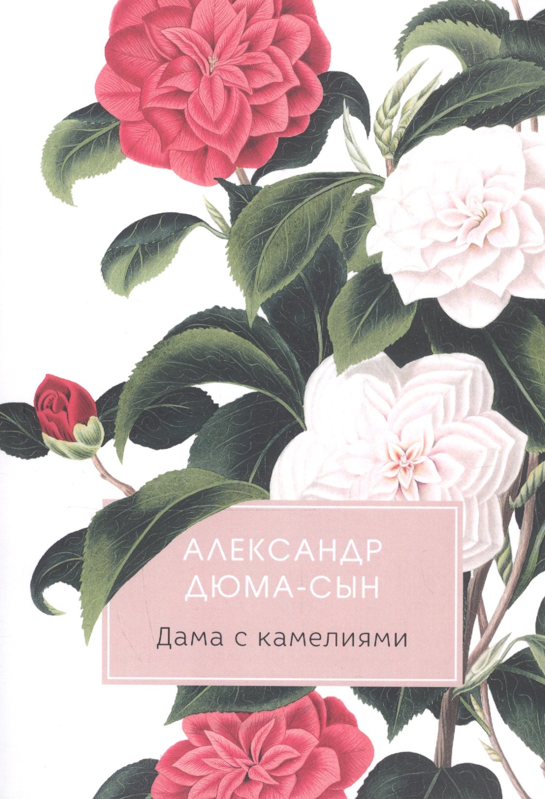 Дюма (сын) Александр: Дама с камелиями