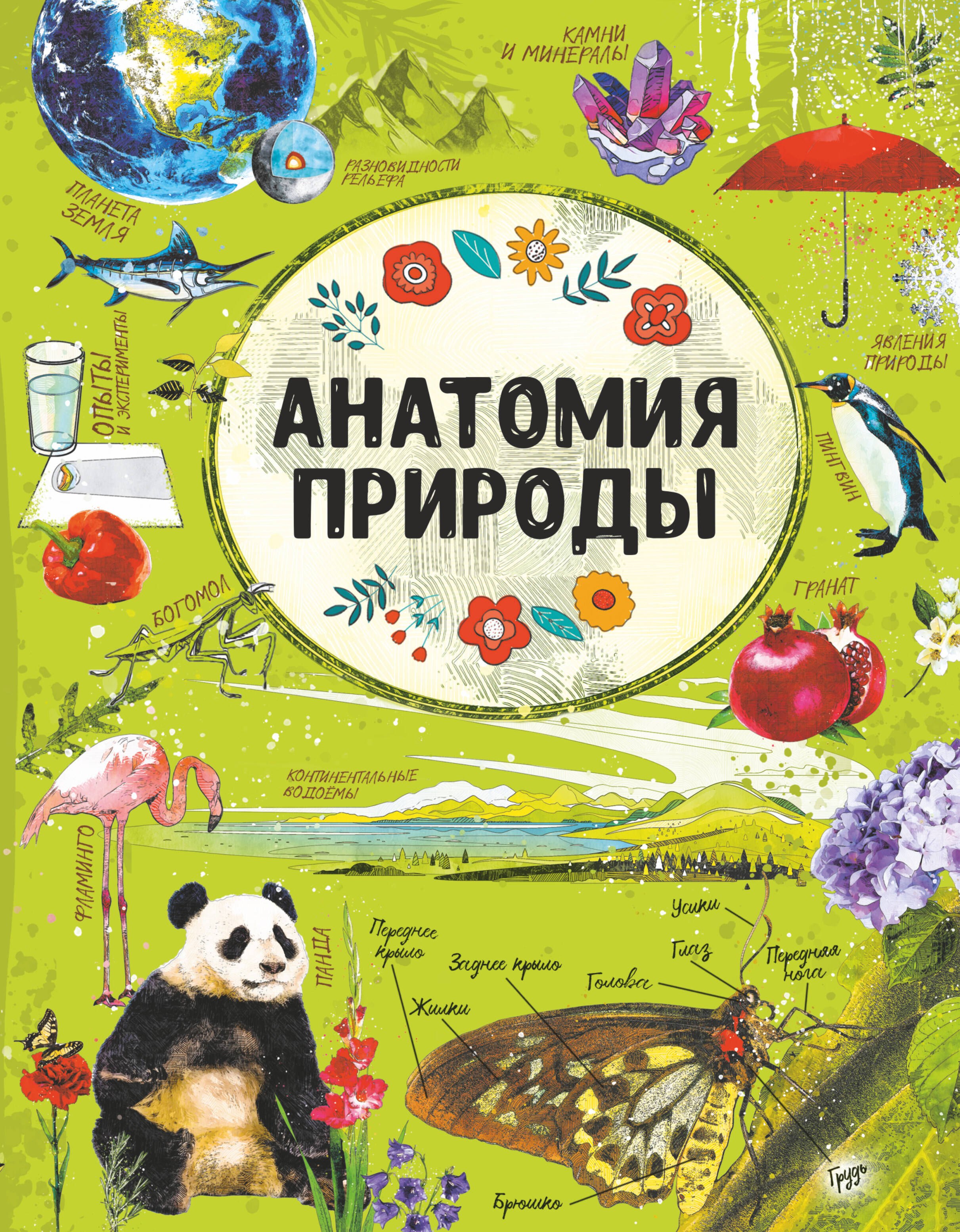 Спектор Анна Артуровна: Анатомия природы
